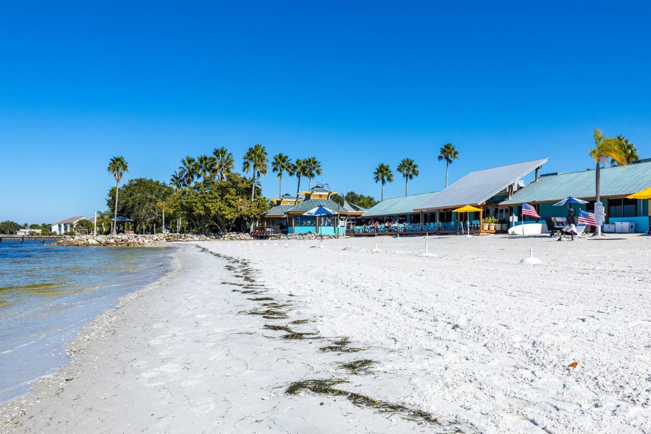 Come Stay Where The Dolphins Play! Ruskin Exteriér fotografie