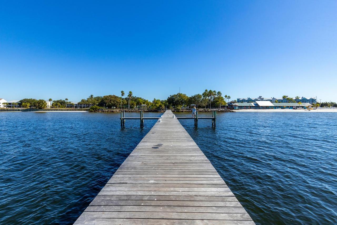 Come Stay Where The Dolphins Play! Ruskin Exteriér fotografie