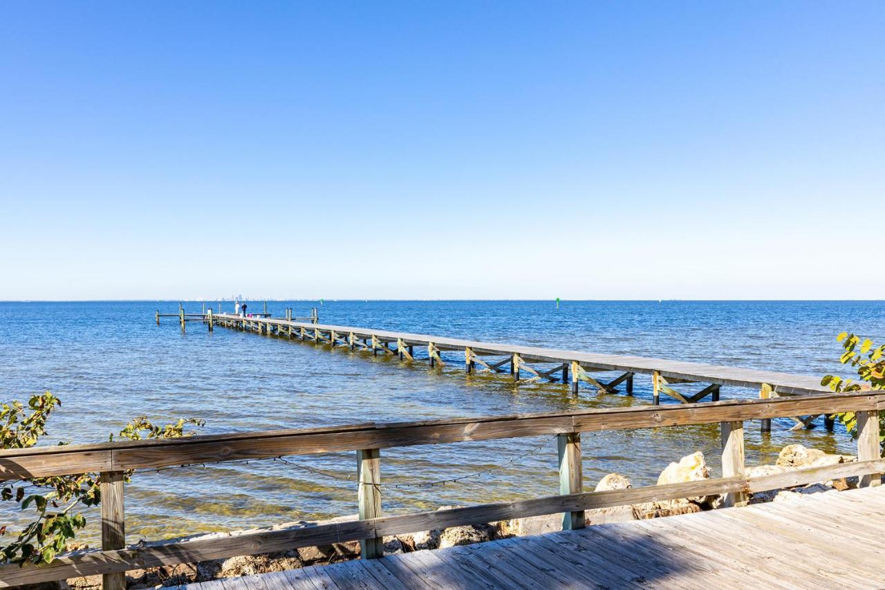 Come Stay Where The Dolphins Play! Ruskin Exteriér fotografie